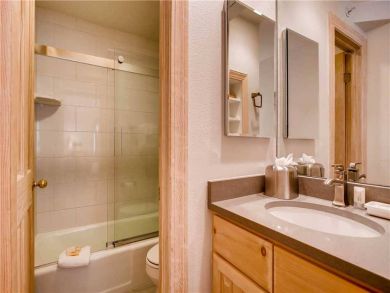 Mountain Views Lionshead Ski Rental Two Bedroom Ski Condo